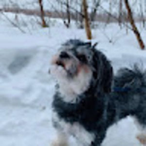 Meet your Posher, Sophie